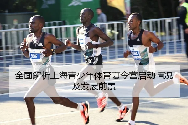 全面解析上海青少年体育夏令营启动情况及发展前景